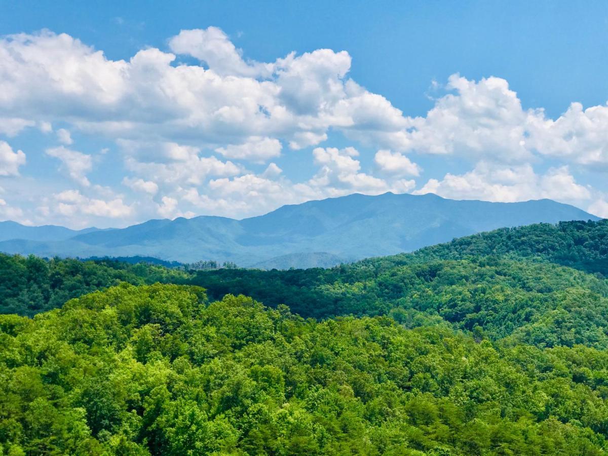 A Higher Calling, 1089 Of Free Area Attraction Tickets For Each Paid Day, Dollywood And More! Pigeon Forge Eksteriør bilde