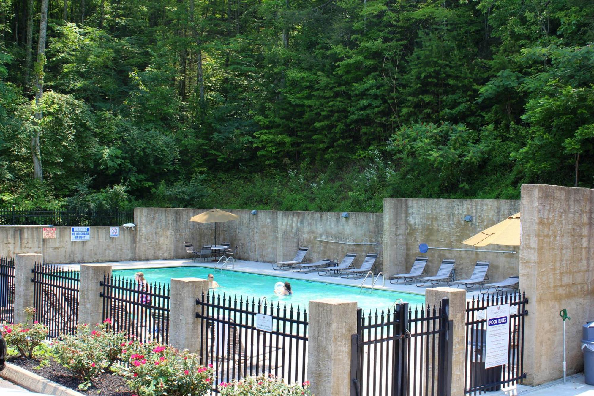 A Higher Calling, 1089 Of Free Area Attraction Tickets For Each Paid Day, Dollywood And More! Pigeon Forge Eksteriør bilde