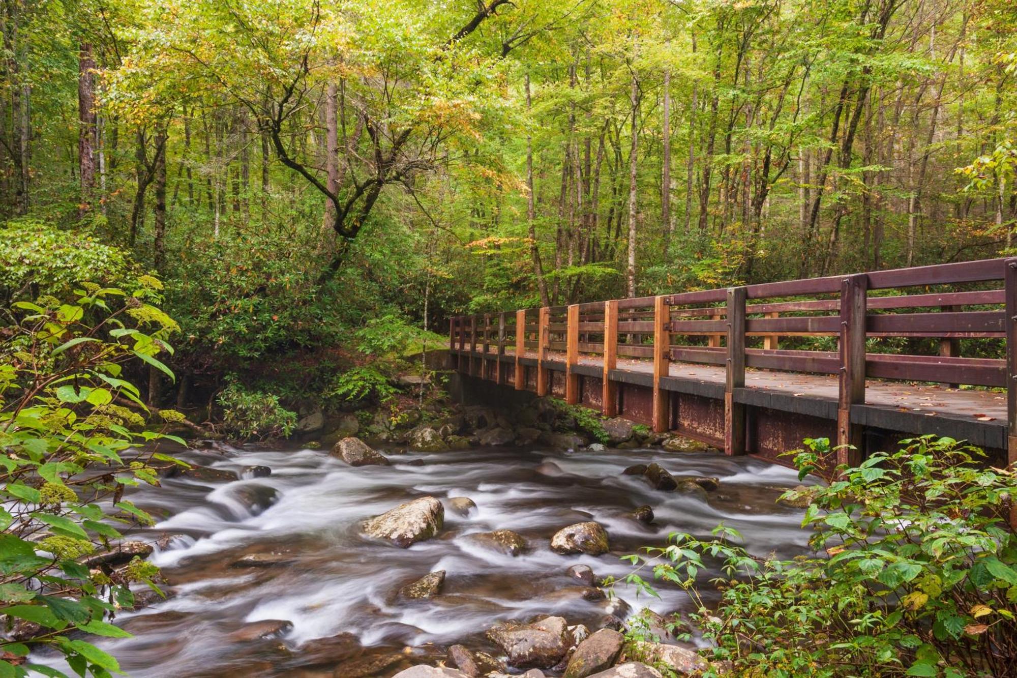 A Higher Calling, 1089 Of Free Area Attraction Tickets For Each Paid Day, Dollywood And More! Pigeon Forge Eksteriør bilde